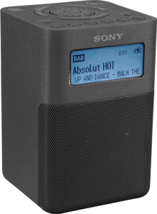 Sony XDR-V20D (Donker grijs)