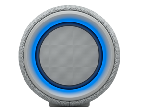 SONY SRS-XG300 (lichtgrijs)