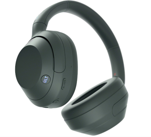 SONY WHULT900NH (Forest Gray)