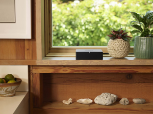 Sonos Port	