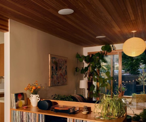 Sonos Wired Pack - In-Ceiling